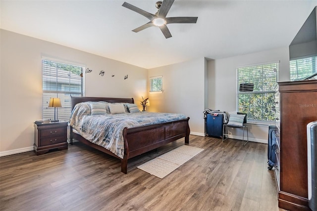 6736 Breezy Palm Dr, Riverview, FL 33578 - bedroom featuring wood finished floors, baseboards, and ceiling fan