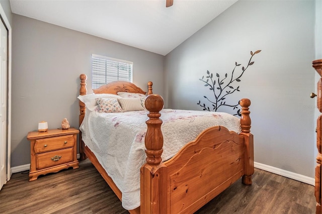 6736 Breezy Palm Dr, Riverview, FL 33578 - bedroom featuring wood finished floors, baseboards, lofted ceiling, ceiling fan, and a closet