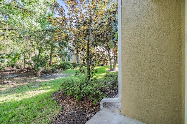 6736 Breezy Palm Dr, Riverview, FL 33578 - view of green lawn
