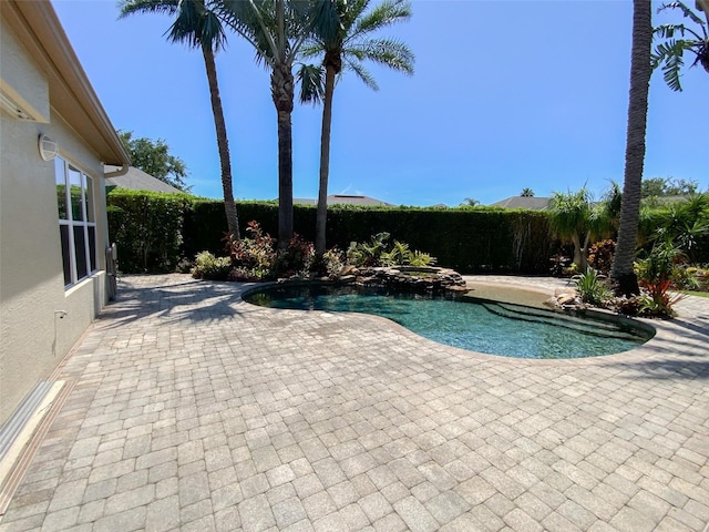 2041 Gold Dust Ct, Trinity, FL 34655 - view of swimming pool with a patio, a fenced backyard, and a pool with connected hot tub