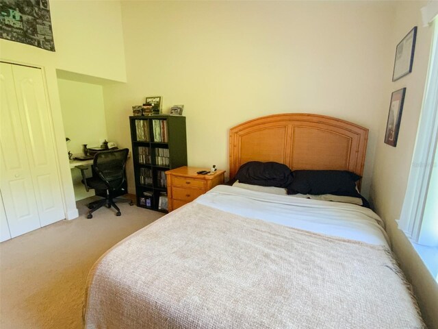 2041 Gold Dust Ct, Trinity, FL 34655 - bedroom featuring light colored carpet, an office area, and a closet