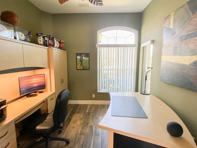 2041 Gold Dust Ct, Trinity, FL 34655 - home office featuring dark wood finished floors and baseboards