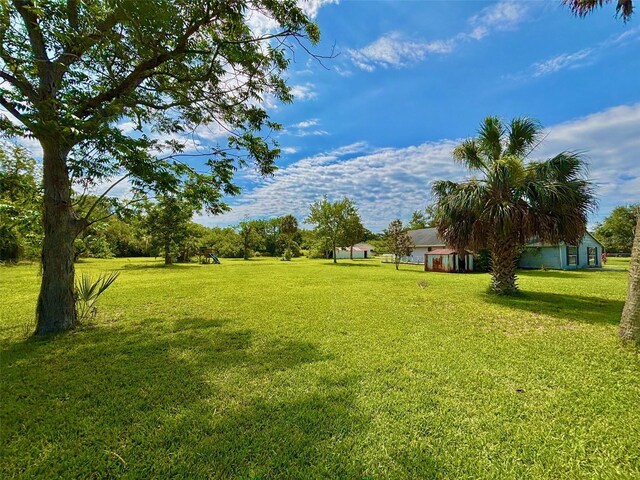 14318 Guava St, Hudson, FL 34667 - view of grassy yard
