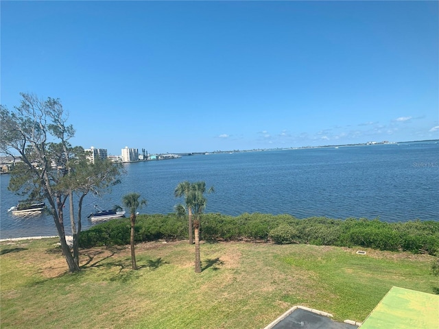 2700 Bayshore Blvd Unit 11308, Dunedin, FL 34698 - water view