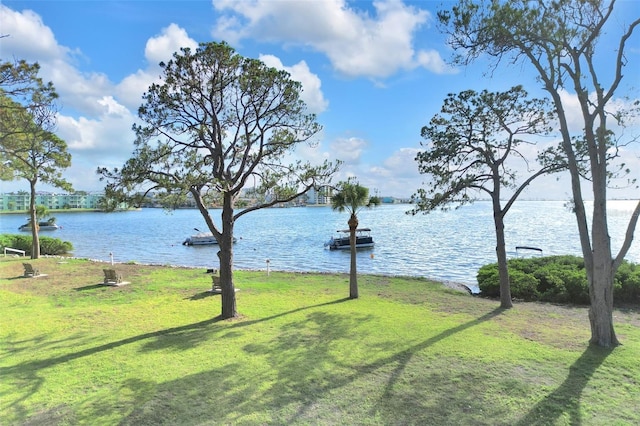 2700 Bayshore Blvd Unit 11308, Dunedin, FL 34698 - water view