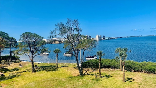 2700 Bayshore Blvd Unit 11308, Dunedin, FL 34698 - water view