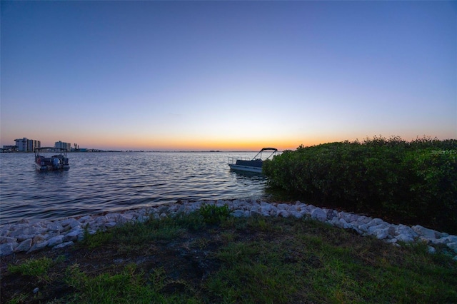 2700 Bayshore Blvd Unit 11308, Dunedin, FL 34698 - water view with a dock