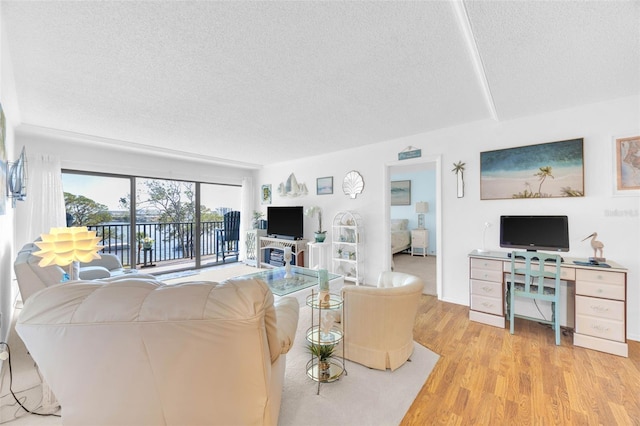 2700 Bayshore Blvd Unit 11308, Dunedin, FL 34698 - living room featuring a textured ceiling and wood finished floors