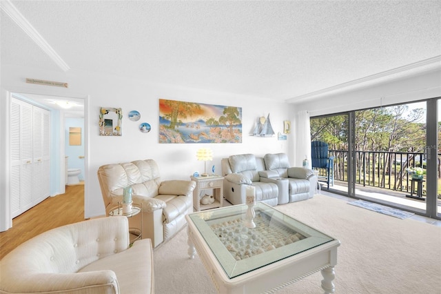 2700 Bayshore Blvd Unit 11308, Dunedin, FL 34698 - living area featuring a textured ceiling