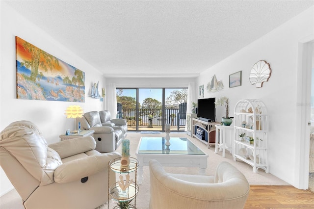2700 Bayshore Blvd Unit 11308, Dunedin, FL 34698 - living room featuring a textured ceiling and wood finished floors