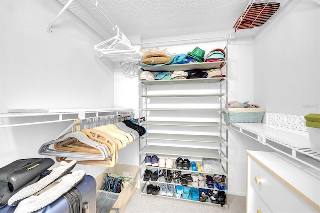 2700 Bayshore Blvd Unit 11308, Dunedin, FL 34698 - view of walk in closet