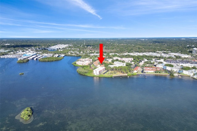 2700 Bayshore Blvd Unit 11308, Dunedin, FL 34698 - aerial view of a nearby body of water