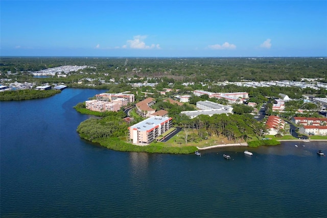 2700 Bayshore Blvd Unit 11308, Dunedin, FL 34698 - drone / aerial view of a large body of water
