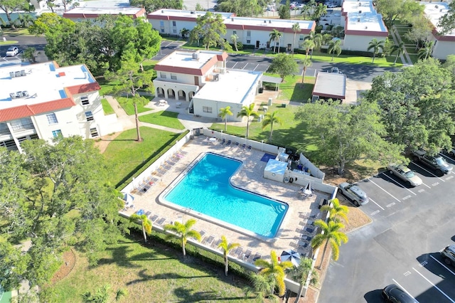 2700 Bayshore Blvd Unit 11308, Dunedin, FL 34698 - aerial view of a pool area