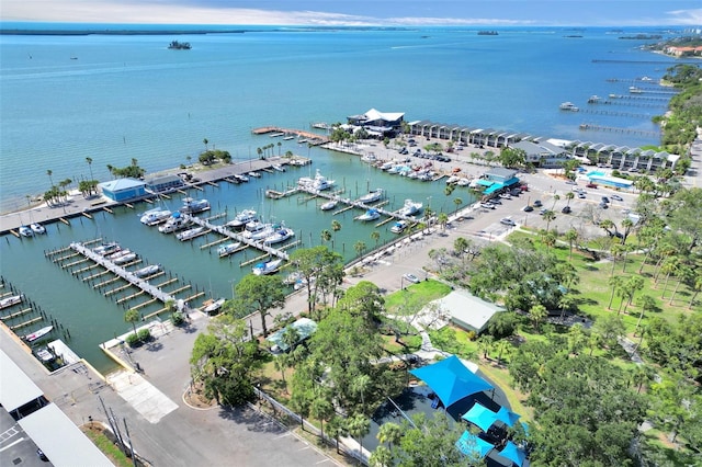 2700 Bayshore Blvd Unit 11308, Dunedin, FL 34698 - view of property location with a marina and a nearby body of water