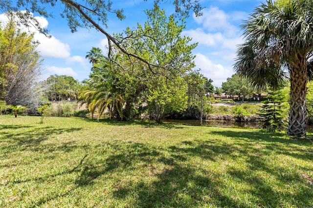 12516 Cobble Stone Dr, Hudson, FL 34667 - view of grassy yard