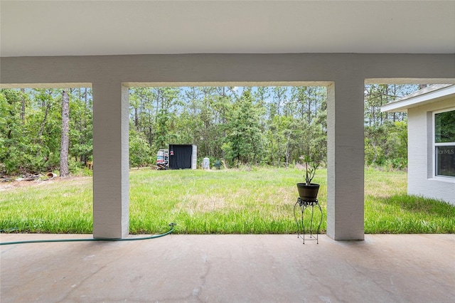 5032 N Crossgate Pt, Beverly Hills, FL 34465 - view of green lawn with a patio area and view of wooded area