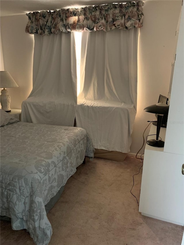 2901 NW 48th Ave Unit 367, Lauderdale Lakes, FL 33313 - view of carpeted bedroom