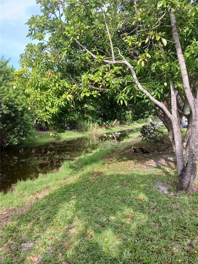 2901 NW 48th Ave Unit 367, Lauderdale Lakes, FL 33313 - photo 8