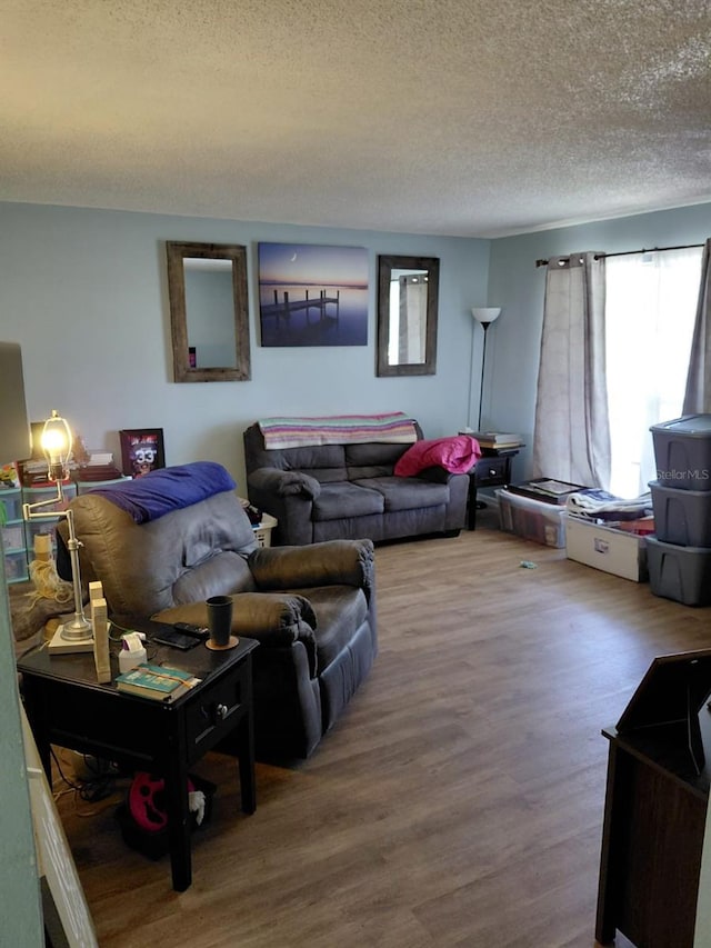 7317 Mitchell Ranch Rd, New Port Richey, FL 34655 - living area featuring wood finished floors and a textured ceiling