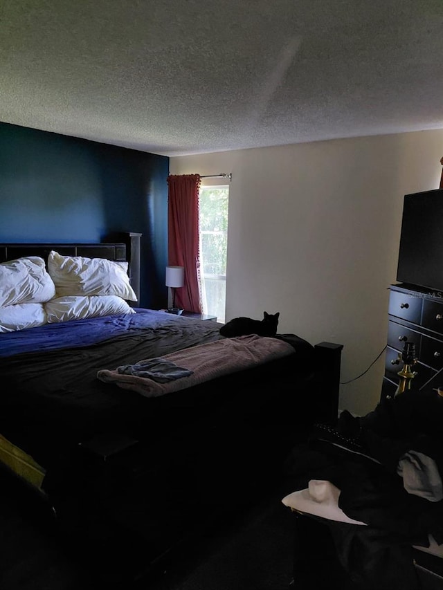 7317 Mitchell Ranch Rd, New Port Richey, FL 34655 - bedroom featuring a textured ceiling