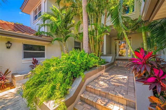 903 Pinellas Bayway S Unit 103, Tierra Verde, FL 33715 - entrance to property with stucco siding and a tile roof