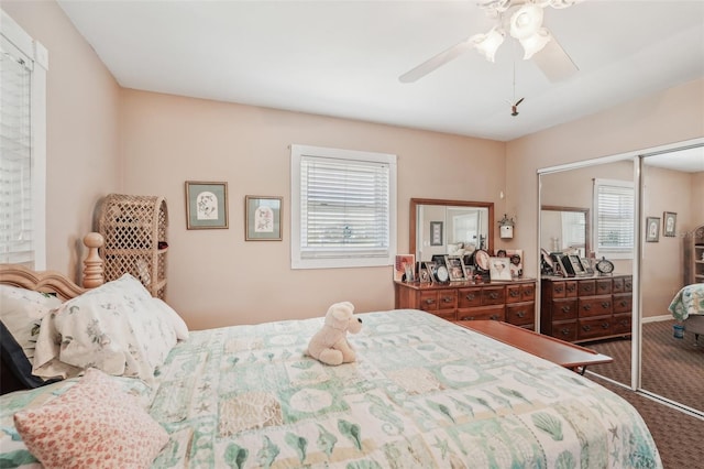 708 Rutgers Pl, Sun City Center, FL 33573 - bedroom with a closet, multiple windows, carpet floors, and ceiling fan