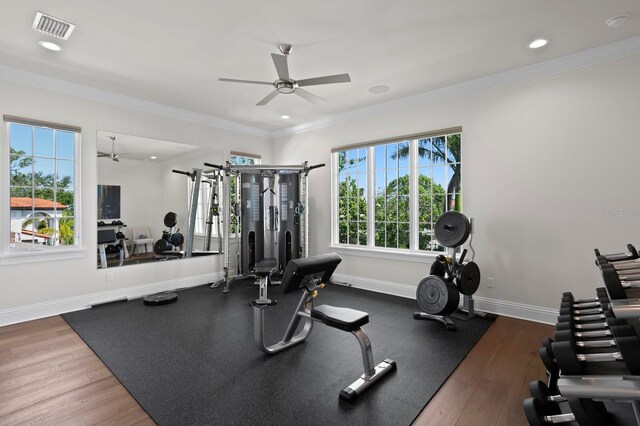 5110 W Longfellow Ave, Tampa, FL 33629 - photo 39