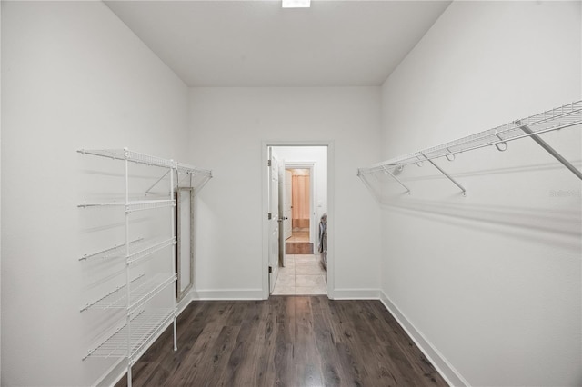 17668 Bright Wheat Dr, Lithia, FL 33547 - walk in closet with dark wood finished floors