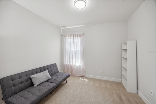 17668 Bright Wheat Dr, Lithia, FL 33547 - living room with carpet flooring and baseboards