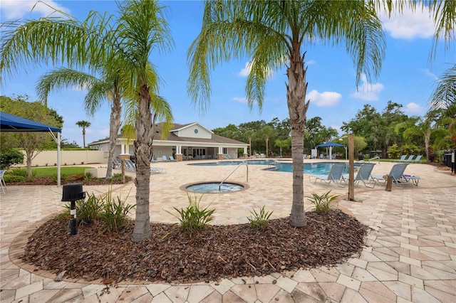17668 Bright Wheat Dr, Lithia, FL 33547 - community pool with a patio area
