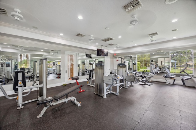17668 Bright Wheat Dr, Lithia, FL 33547 - exercise room with ornamental molding, plenty of natural light, and recessed lighting