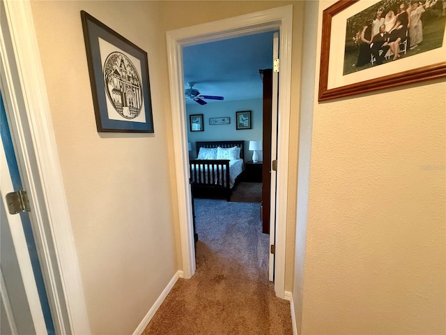 13133 Roseanna Dr, Spring Hill, FL 34609 - corridor with carpet and baseboards
