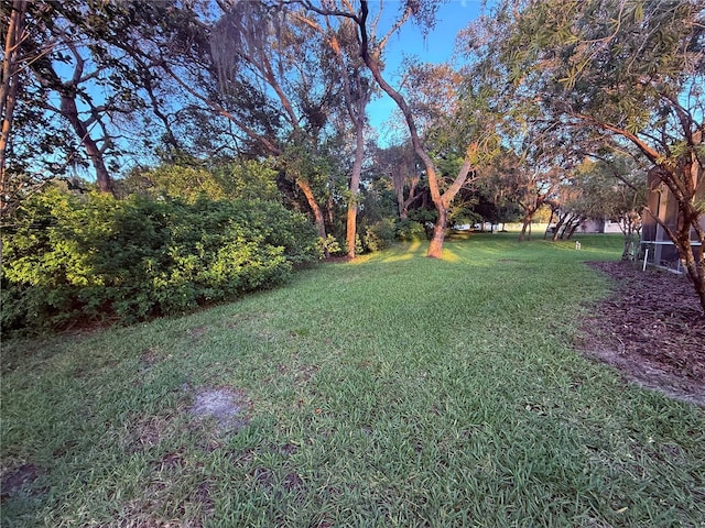 13133 Roseanna Dr, Spring Hill, FL 34609 - view of grassy yard