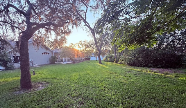 13133 Roseanna Dr, Spring Hill, FL 34609 - view of yard