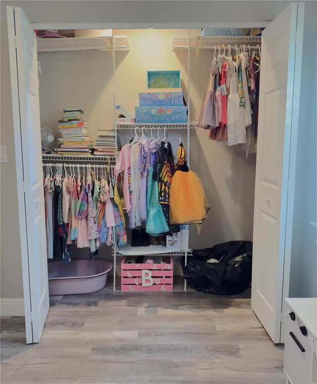 30 Tads Trl, Oldsmar, FL 34677 - view of closet