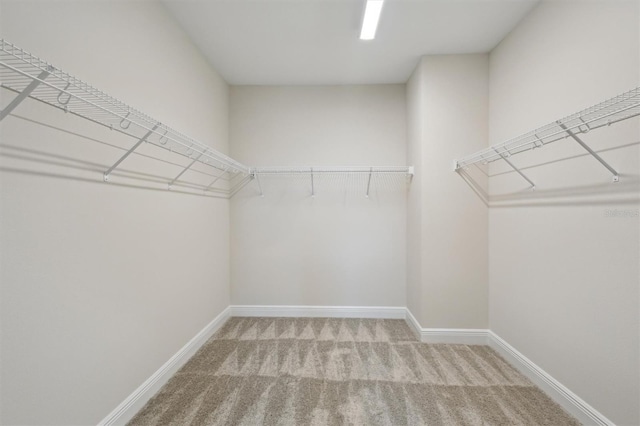 10320 Longmeadow Ave, Parrish, FL 34219 - spacious closet with carpet