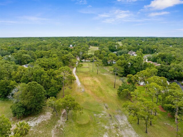 5 Pinewood Gdns, Homosassa, FL 34446 - photo 33