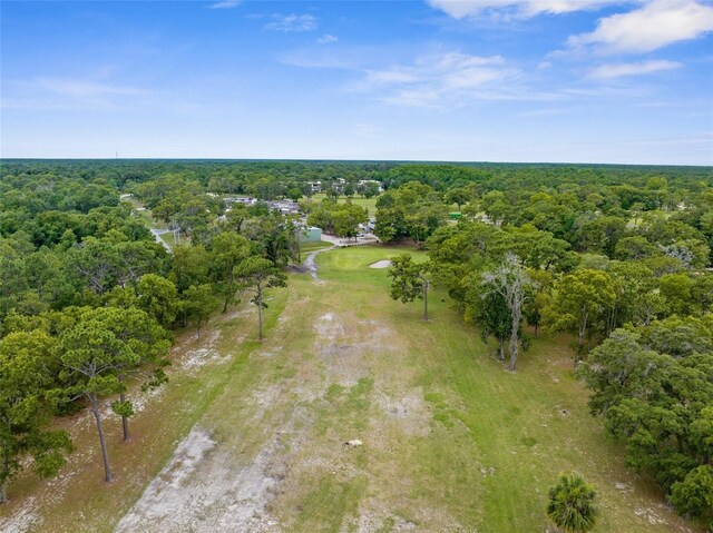 5 Pinewood Gdns, Homosassa, FL 34446 - photo 34