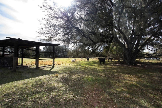 3705 Bruton, Plant City, FL 33565 - view of yard