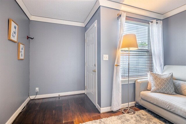 4314 La Mora Ct, Tampa, FL 33611 - photo 5