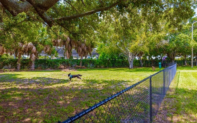 4314 La Mora Ct, Tampa, FL 33611 - photo 30