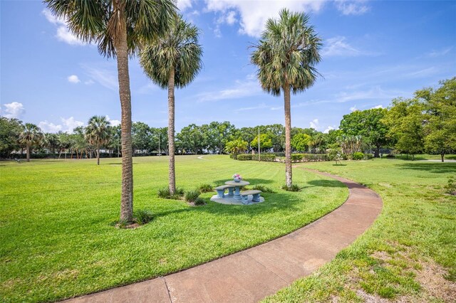 4314 La Mora Ct, Tampa, FL 33611 - photo 33