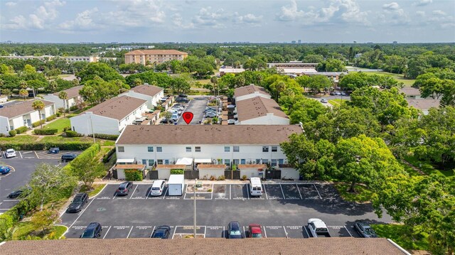 4314 La Mora Ct, Tampa, FL 33611 - photo 38