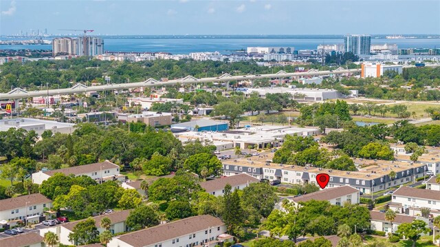 4314 La Mora Ct, Tampa, FL 33611 - photo 40
