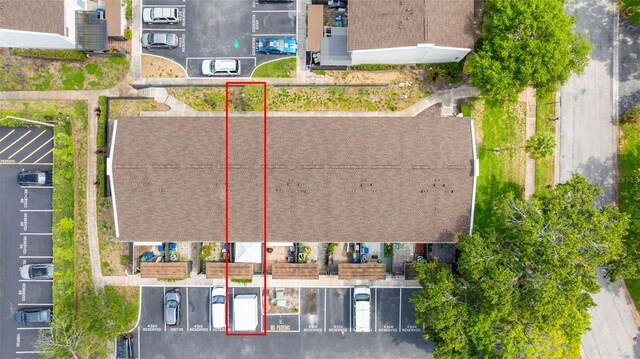 4314 La Mora Ct, Tampa, FL 33611 - photo 42