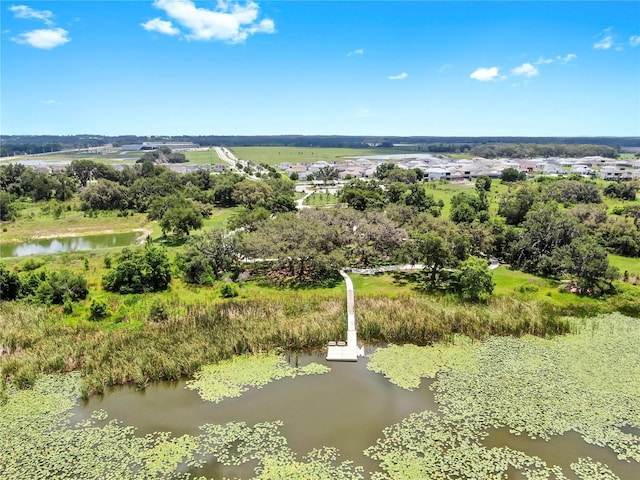 9293 Rally Spring Loop, Wesley Chapel, FL 33545 - bird's eye view of a nearby body of water