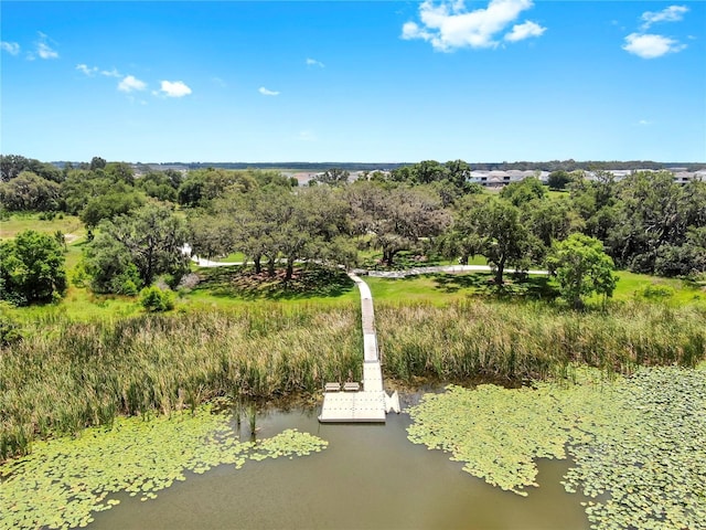 9293 Rally Spring Loop, Wesley Chapel, FL 33545 - bird's eye view of a large body of water and a tree filled landscape