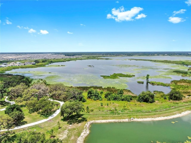 9293 Rally Spring Loop, Wesley Chapel, FL 33545 - aerial view of a nearby body of water