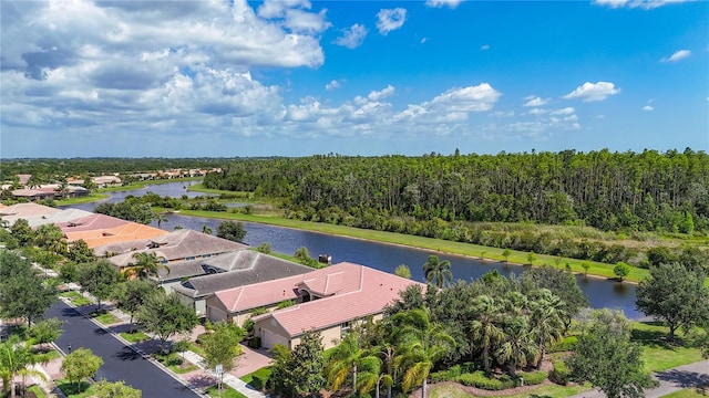 15860 Aurora Lake Cir, Wimauma, FL 33598 - drone / aerial view of a nearby body of water
